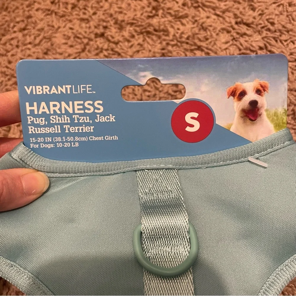 VibrantLife Small Soft Padded Dog Harness in Sage Green